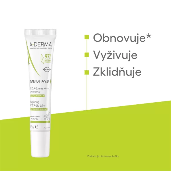 A-DERMA DERMALIBOUR+ Reparační CICA-Balzám na rty 15 ml