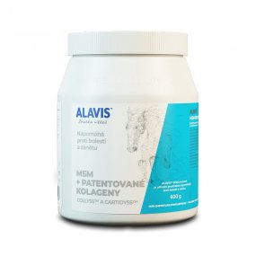 Alavis MSM pro koně 600g