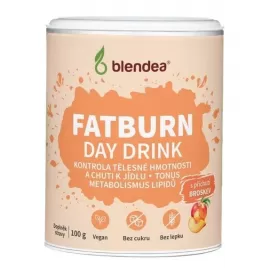 Blendea Fatburn Day Drink broskev 100 g