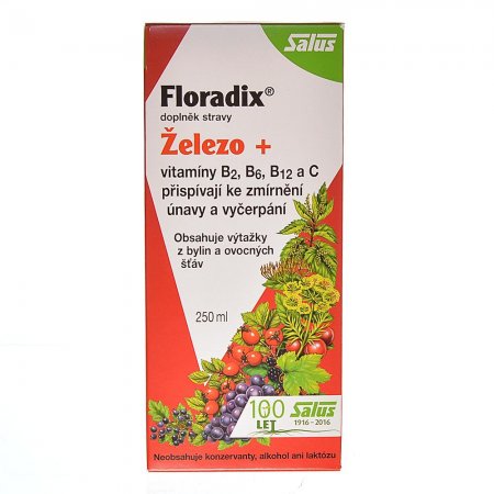 SALUS Floradix Železo+ 250 ml