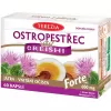 Terezia Ostropestřec + reishi Forte 60 kapslí