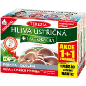 Terezia Hlíva ústřičná + lactobacily 60+60 kapslí 1+1 ZDARMA